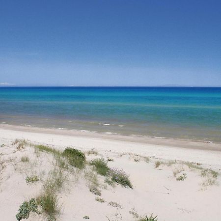 Trilo Beach مونتي ناي المظهر الخارجي الصورة