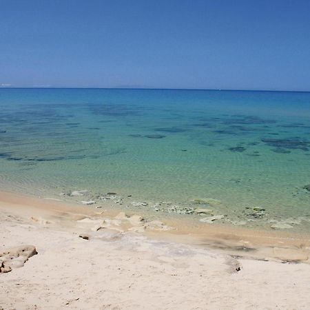 Trilo Beach مونتي ناي المظهر الخارجي الصورة